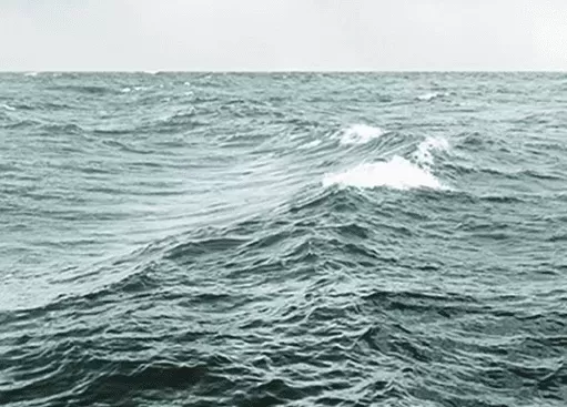 Ocean Promises vs. Reality