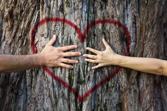 Humans More Monogamous Than Most Primates